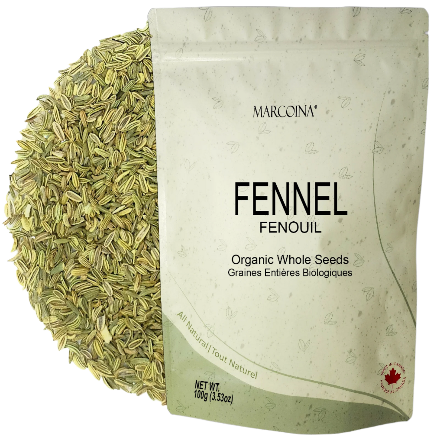 Fennel Seeds 100g