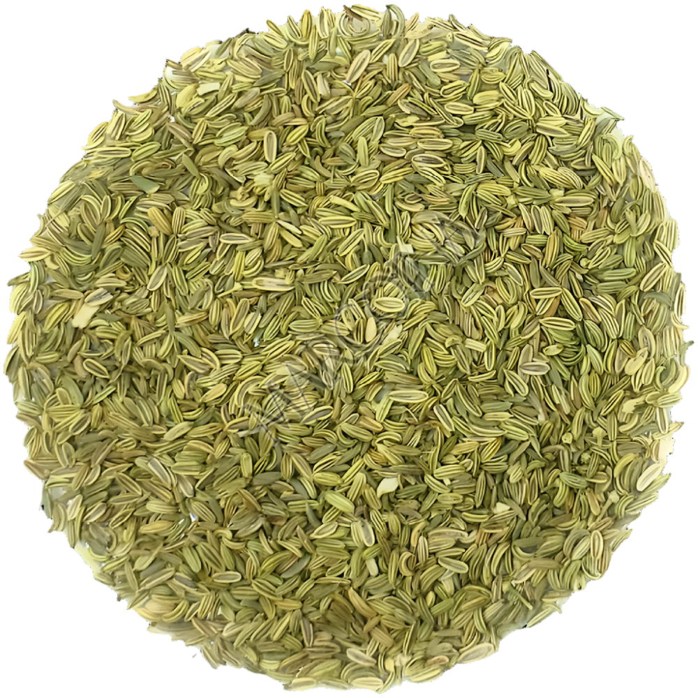 Fennel Seeds 100g