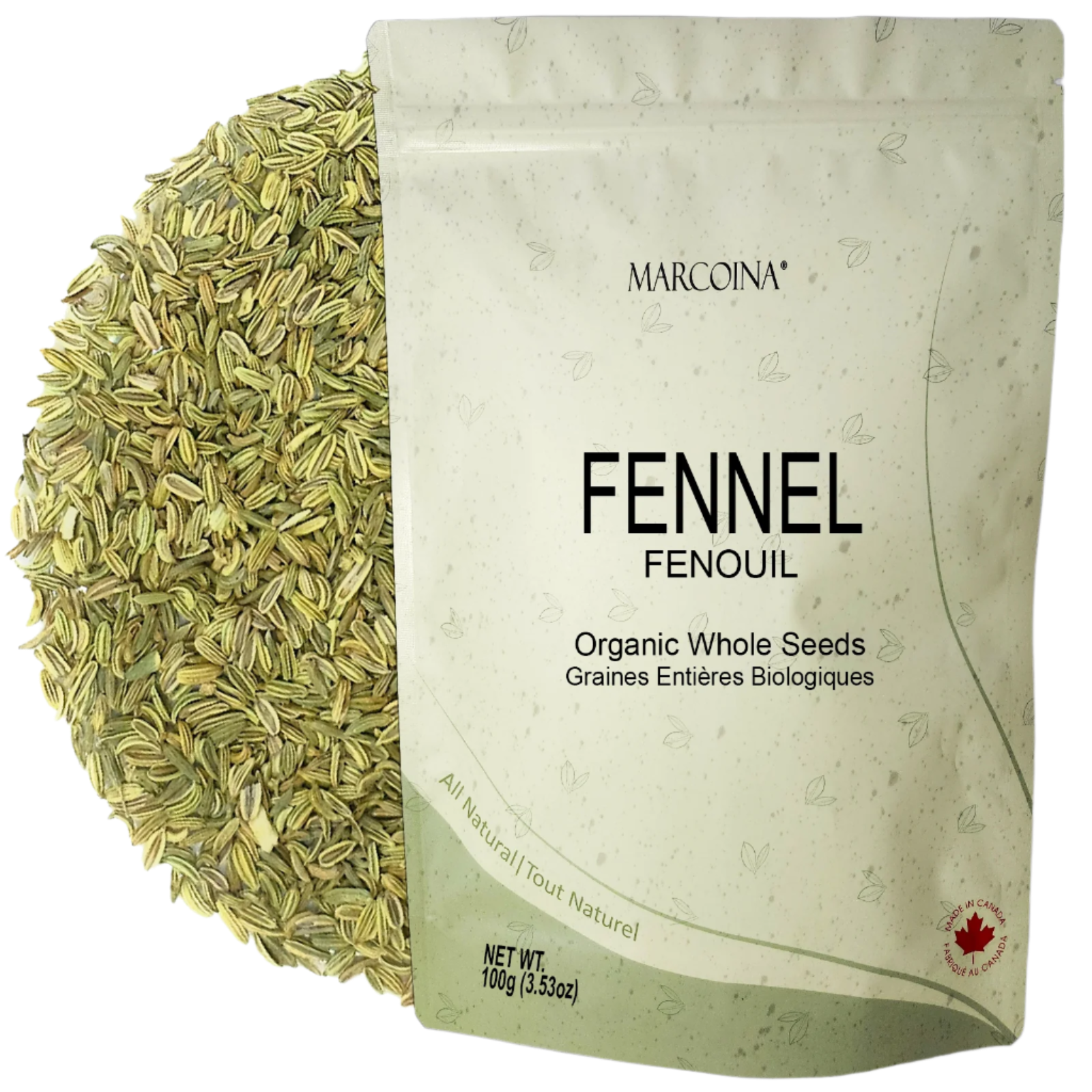 Fennel Seeds 100g