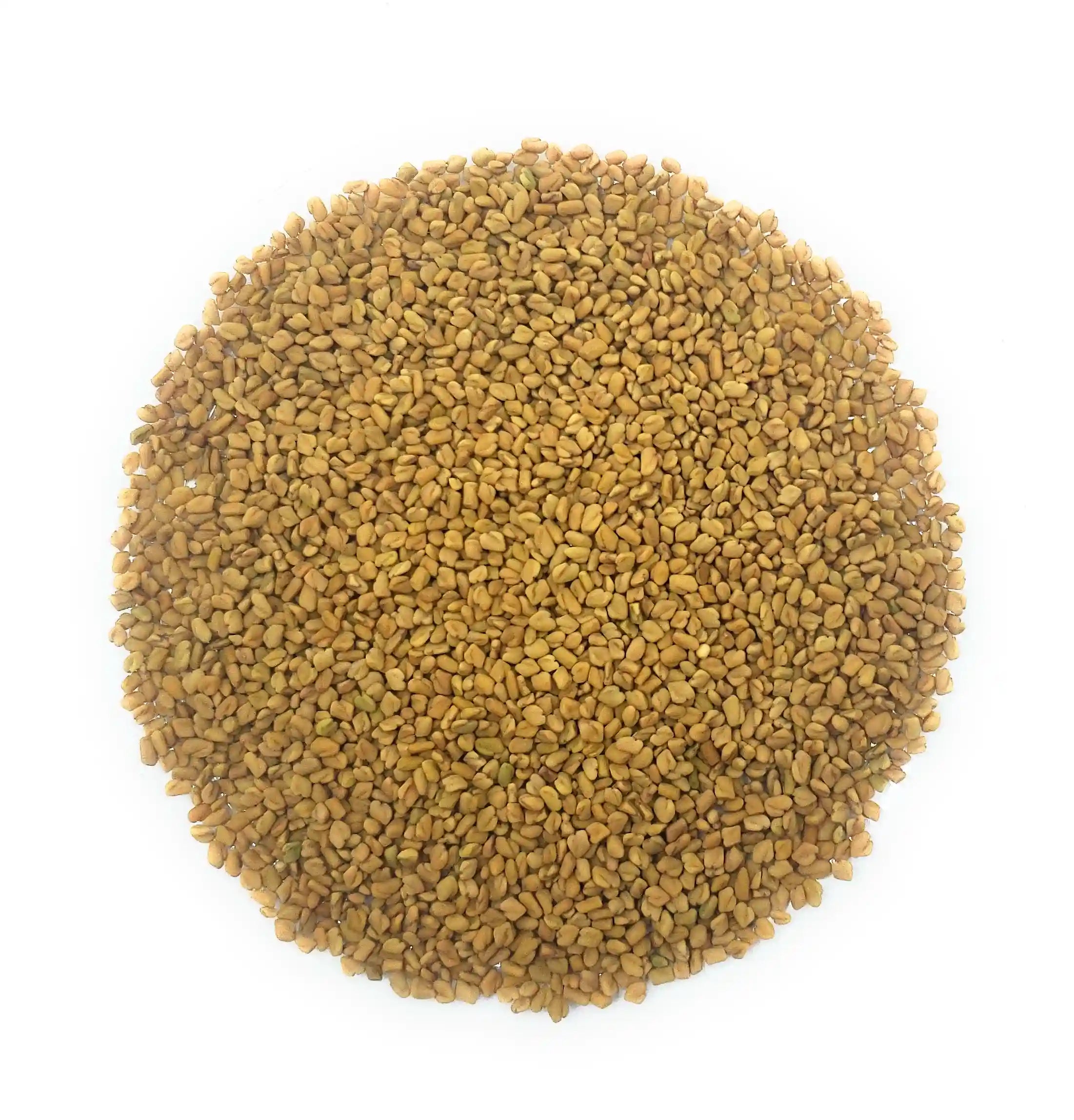 Graines de fenugrec - Tisane