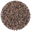 Chaste Tree Seeds