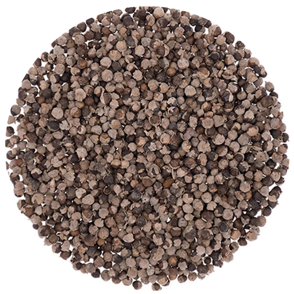 Chaste Tree Seeds