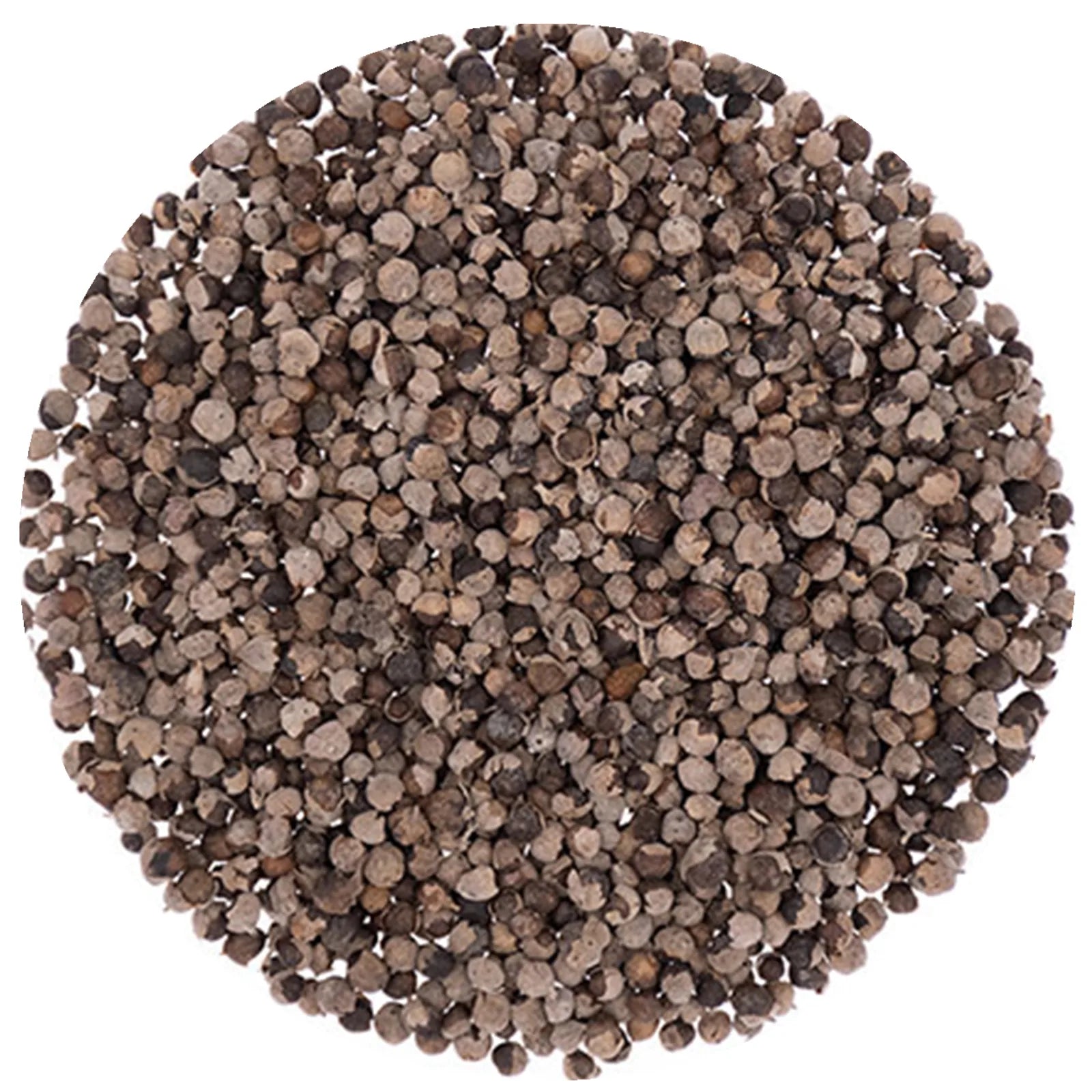 Chaste Tree Seeds
