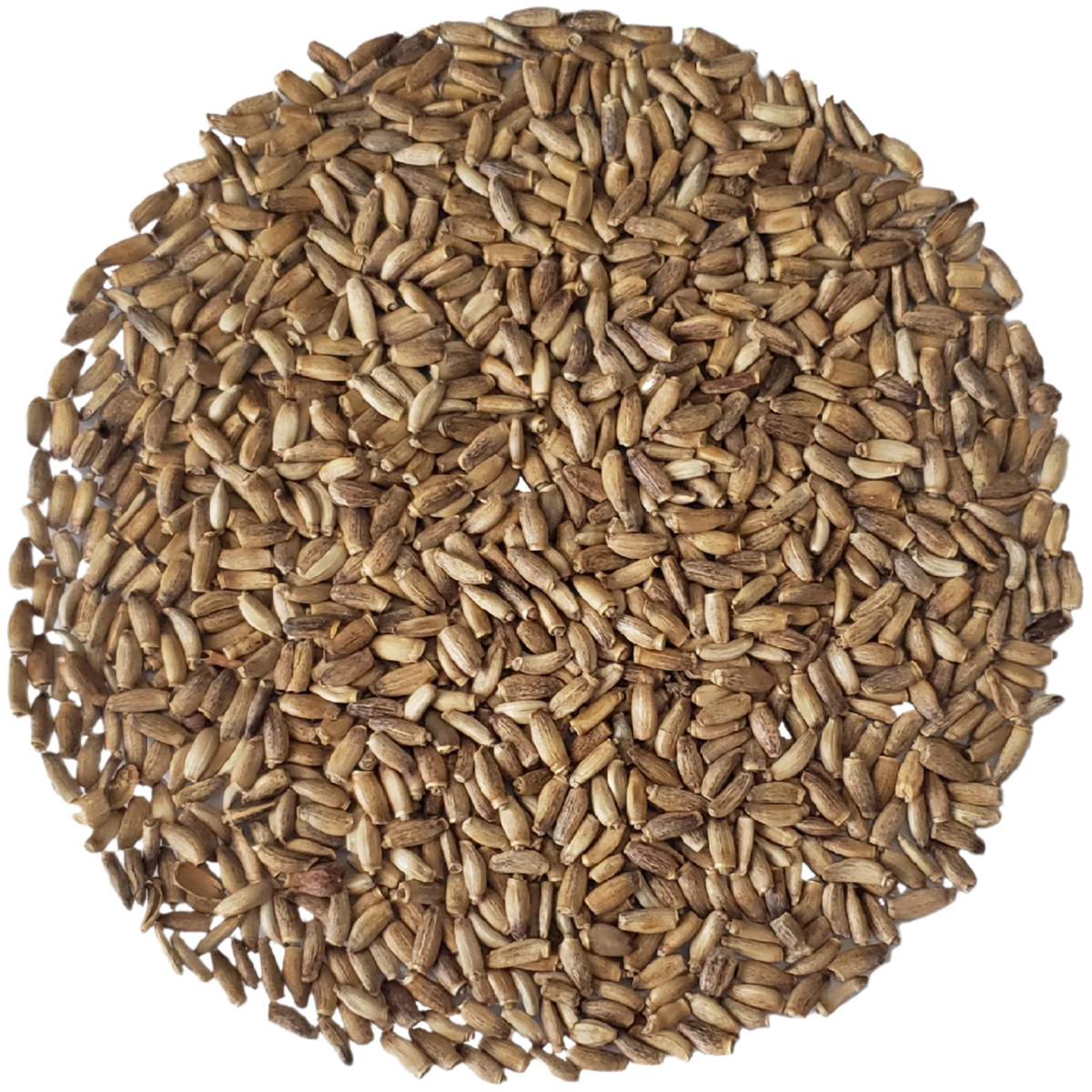 Graines de chardon-marie entières – Tisane