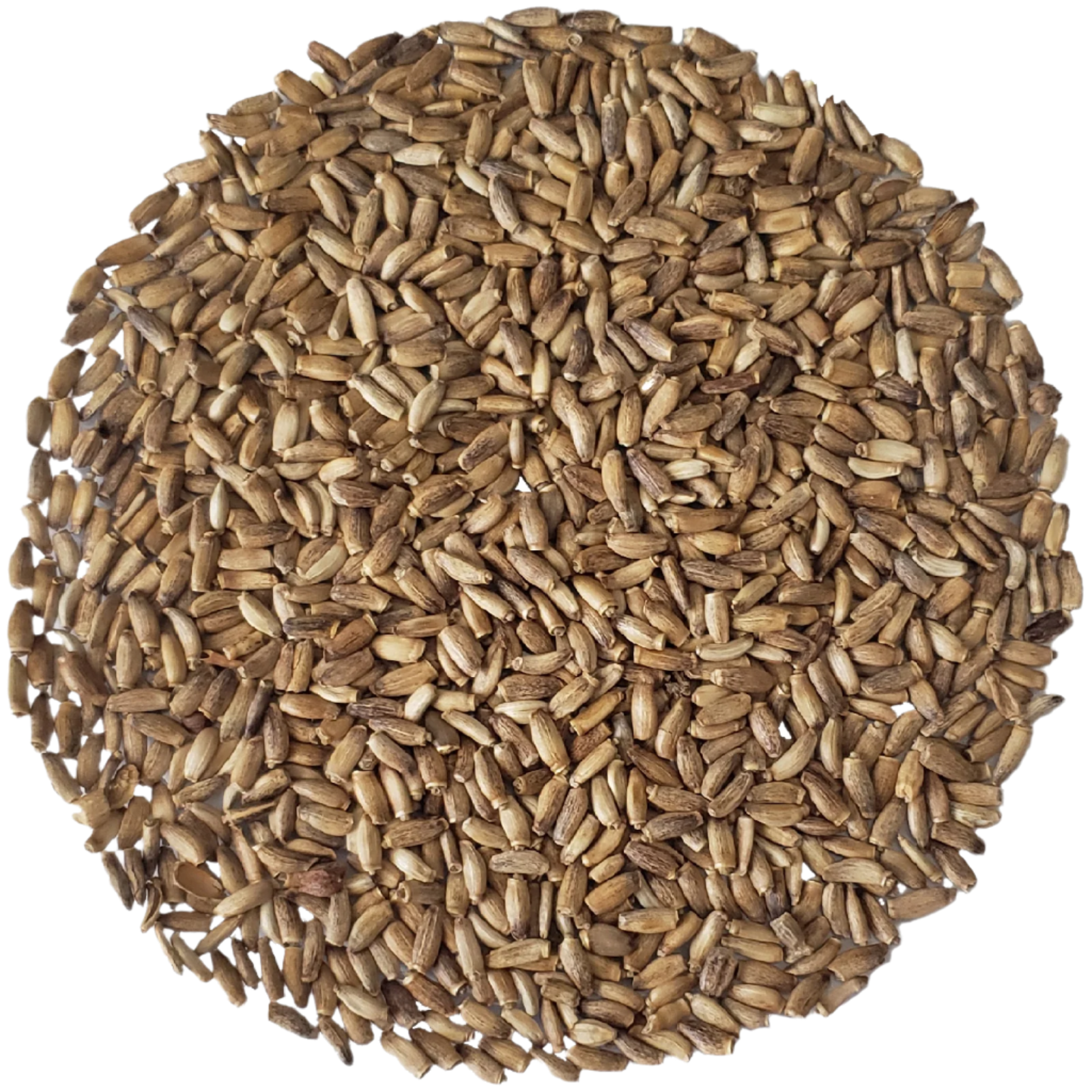 Graines de chardon-marie entières – Tisane