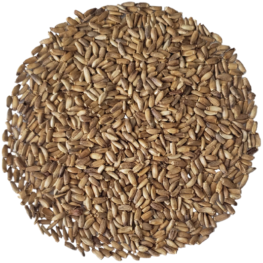 Milk thistle seeds benefits
Buy milk thistle seeds online
Milk thistle seeds for liver health
Organic milk thistle seeds
How to use milk thistle seeds
Milk thistle seed tea
Natural liver detox with milk thistle seeds
Milk thistle seeds for digestion
Milk thistle seeds for weight loss
Raw milk thistle seeds
Milk thistle seed powder
Milk thistle seeds side effects
Milk thistle seeds dosage
Grow your own milk thistle seeds
Milk thistle seeds for skin health