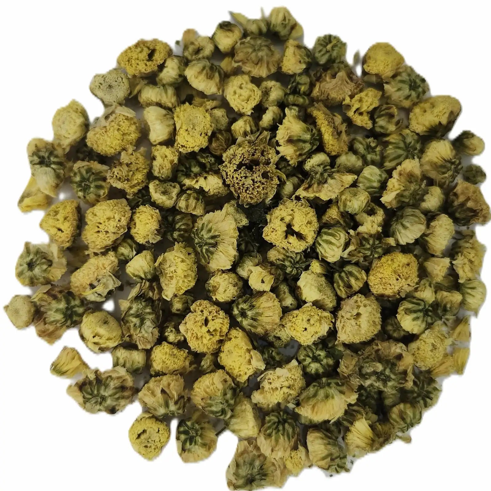 Fleurs de chrysanthème - Tisane