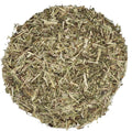 Épilobe tomenteux - Tisane