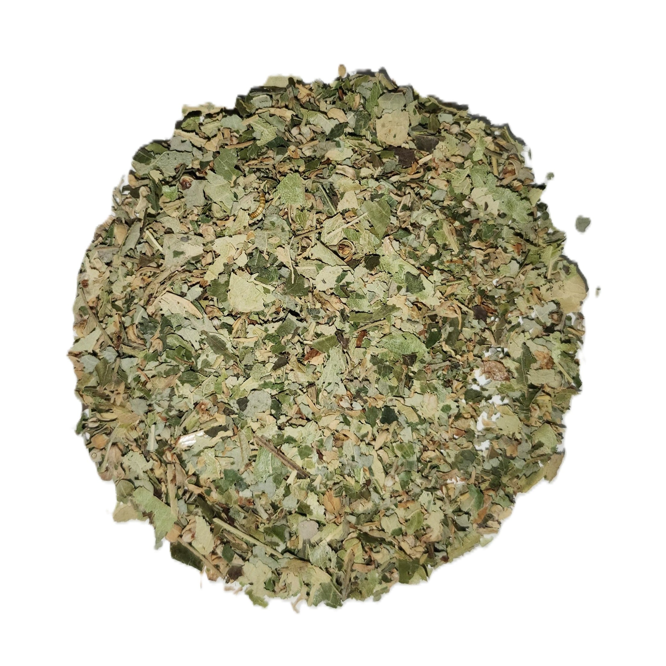 Tilleul Fleurs Entières – Tisane