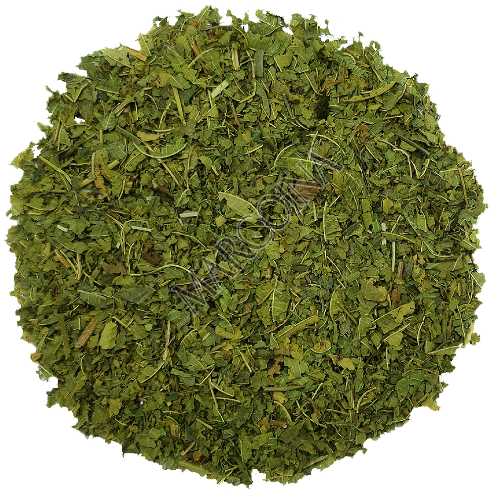 Buy lemon verbena online
Lemon verbena tea benefits
Organic lemon verbena
Lemon verbena leaves
How to use lemon verbena
Lemon verbena for relaxation
Lemon verbena for digestion
Lemon verbena herbal tea
Lemon verbena essential oil
Lemon verbena for skin care
Fresh lemon verbena
Lemon verbena for stress relief
Lemon verbena for sleep
Lemon verbena culinary uses
Lemon verbena benefits for health