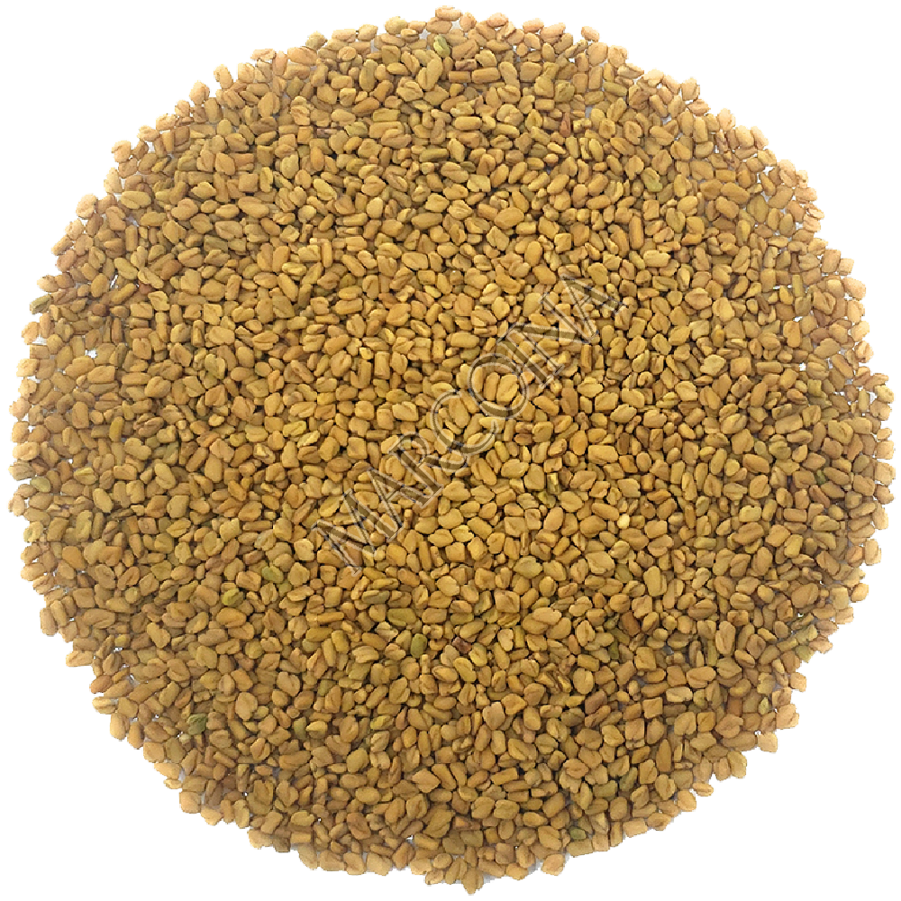 Pure Fenugreek Seeds – Loose Herbal Tea – Marcoina