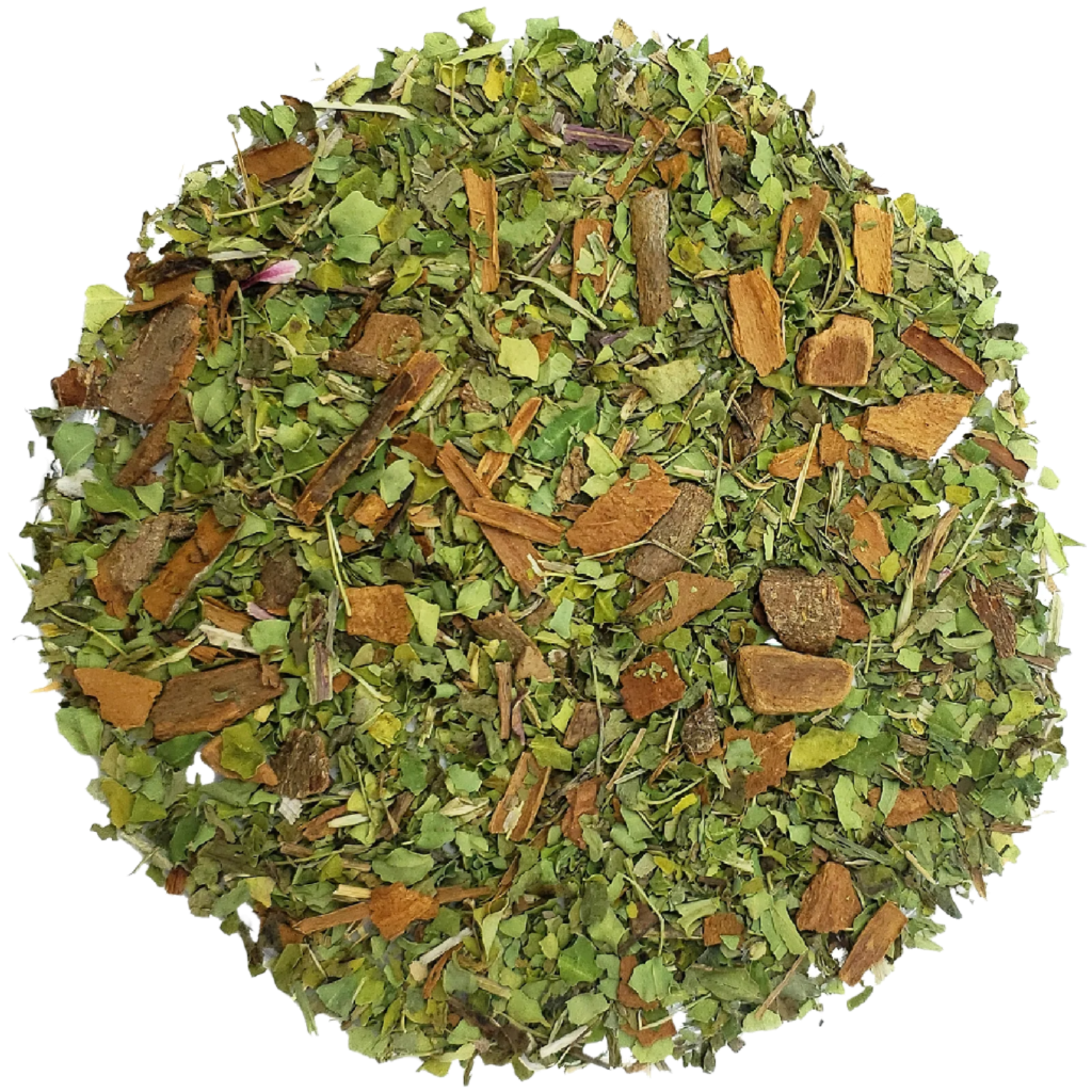 Moringa Pissenlit