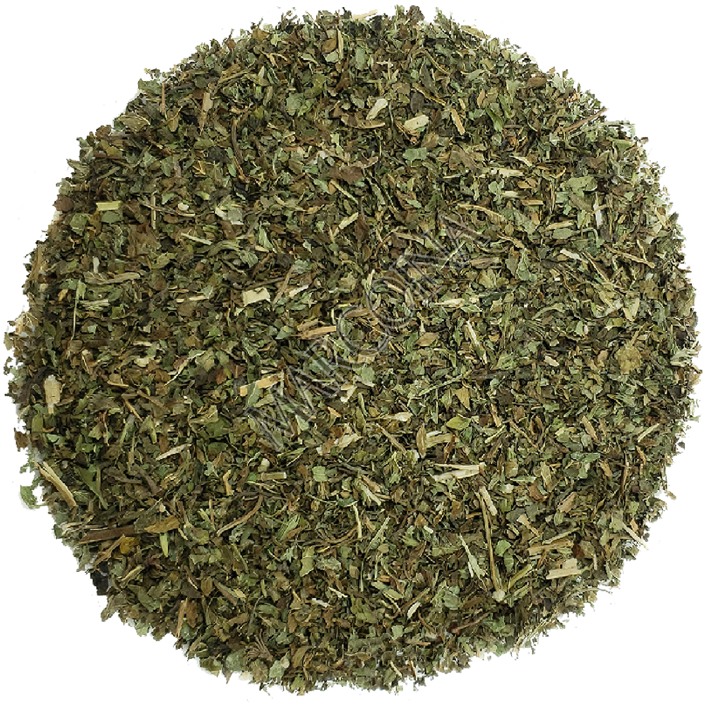 Buy lemon balm online
Lemon balm tea benefits
Organic lemon balm
Lemon balm for stress relief
Lemon balm for sleep
Lemon balm leaves
How to use lemon balm
Lemon balm for anxiety
Lemon balm herbal remedies
Lemon balm essential oil
Lemon balm for digestion
Lemon balm for skin care
Lemon balm tincture
Fresh lemon balm
Lemon balm health benefits