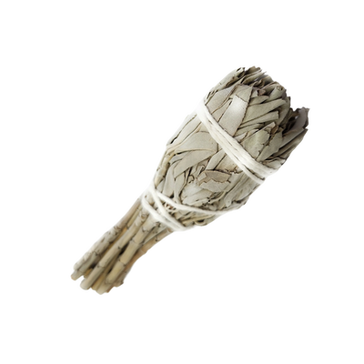 California White Sage Torch (3-4 inches) by MARCOINA- Quantity: 1