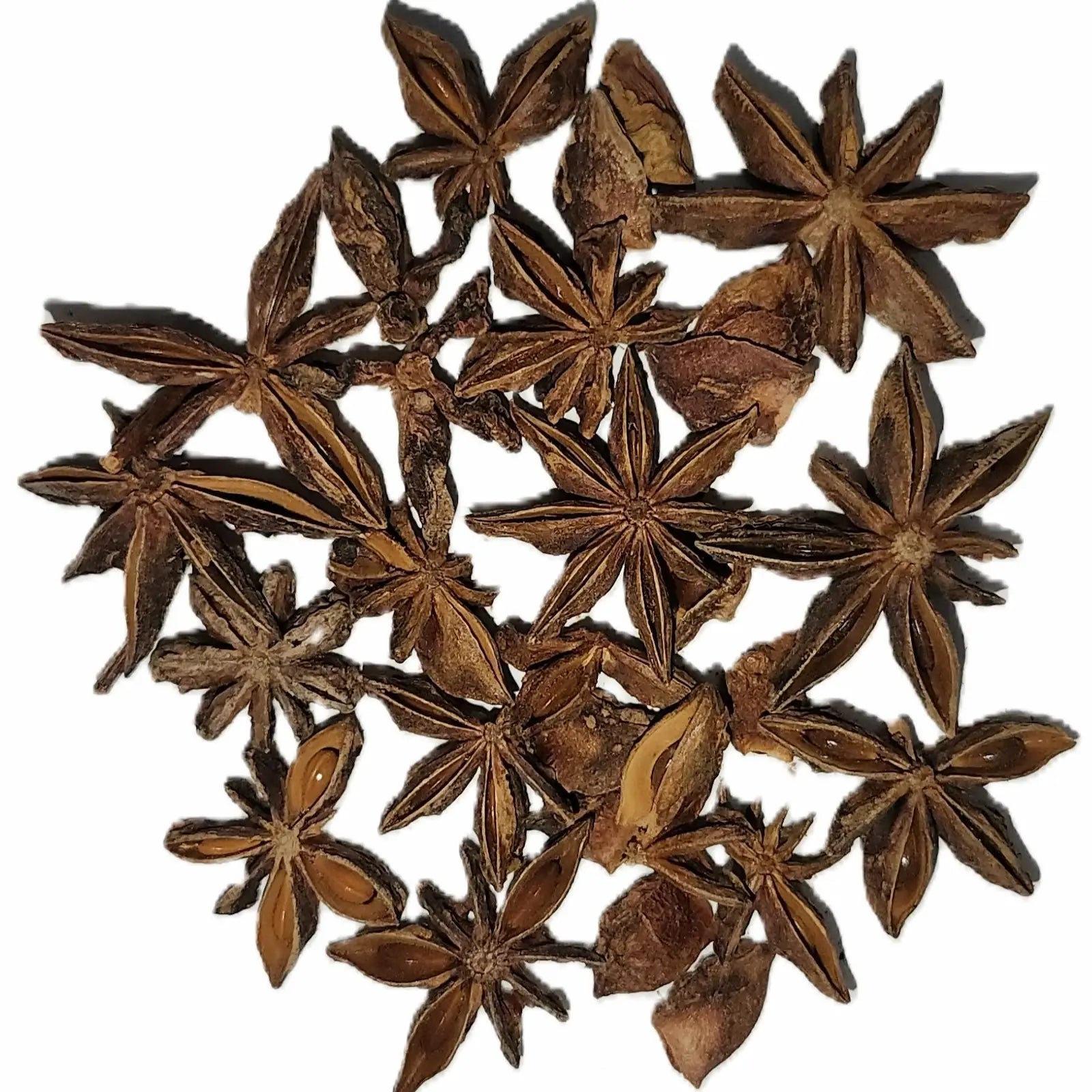 Star anise seeds on a white background