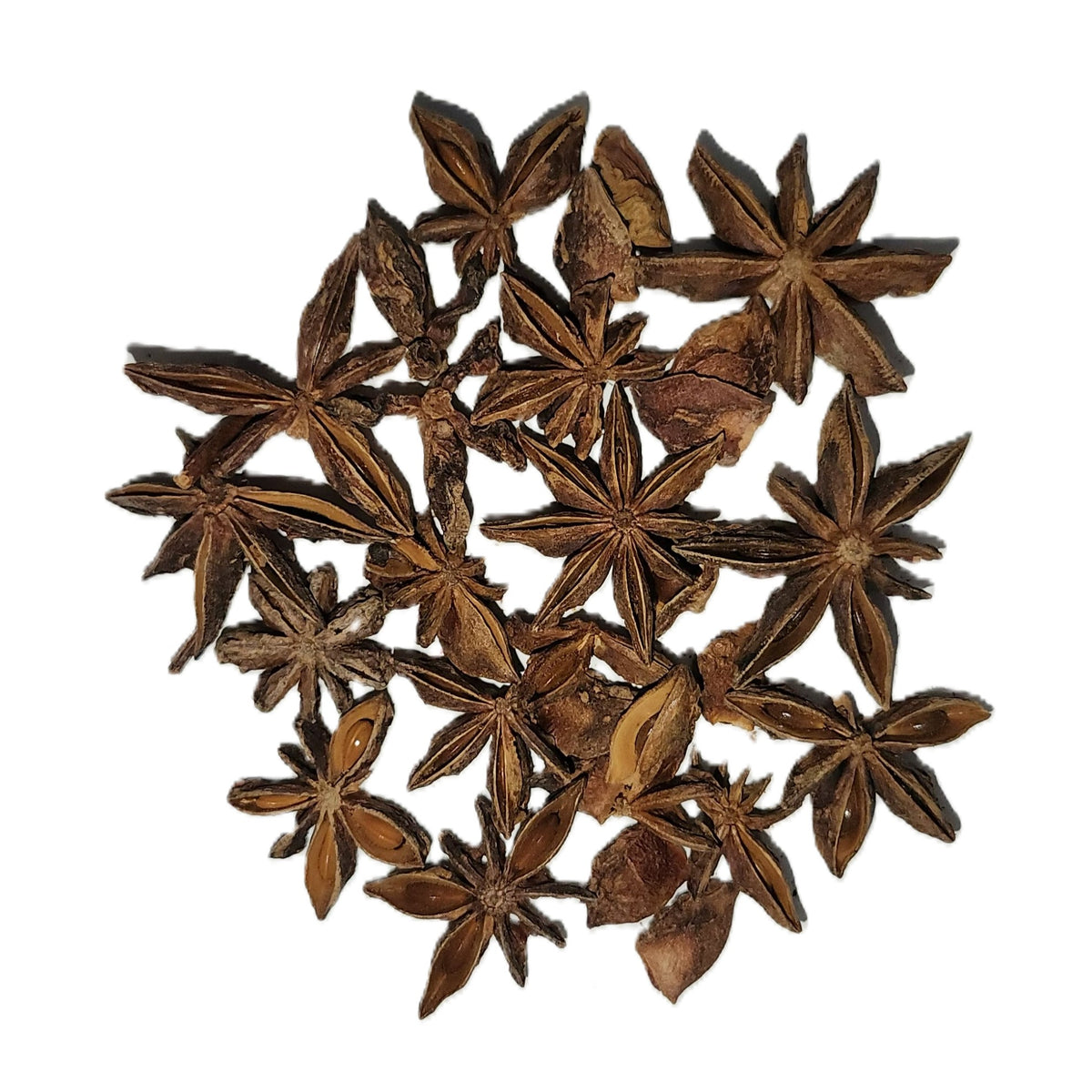 Badiane entière – Tisane