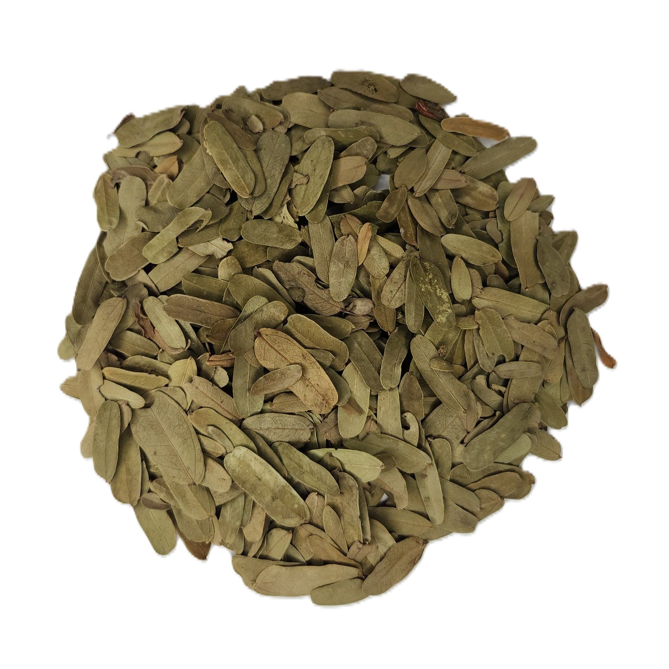 Tamarind Leaves Herbal Tea – Loose, Whole